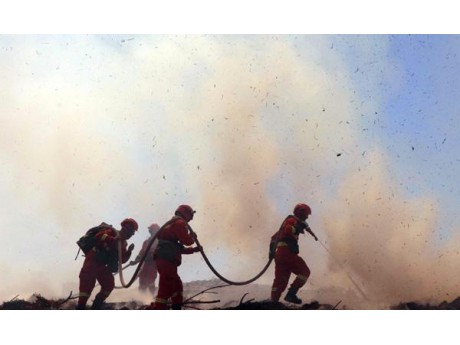 新疆阿勒泰森林滅火實戰演